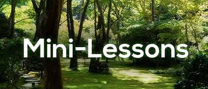 Course: Jappleng Mini-Lessons