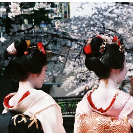 5 tips to getting interested in Japan again