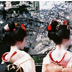 5 tips to getting interested in Japan again