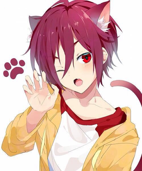 Anime cat boy