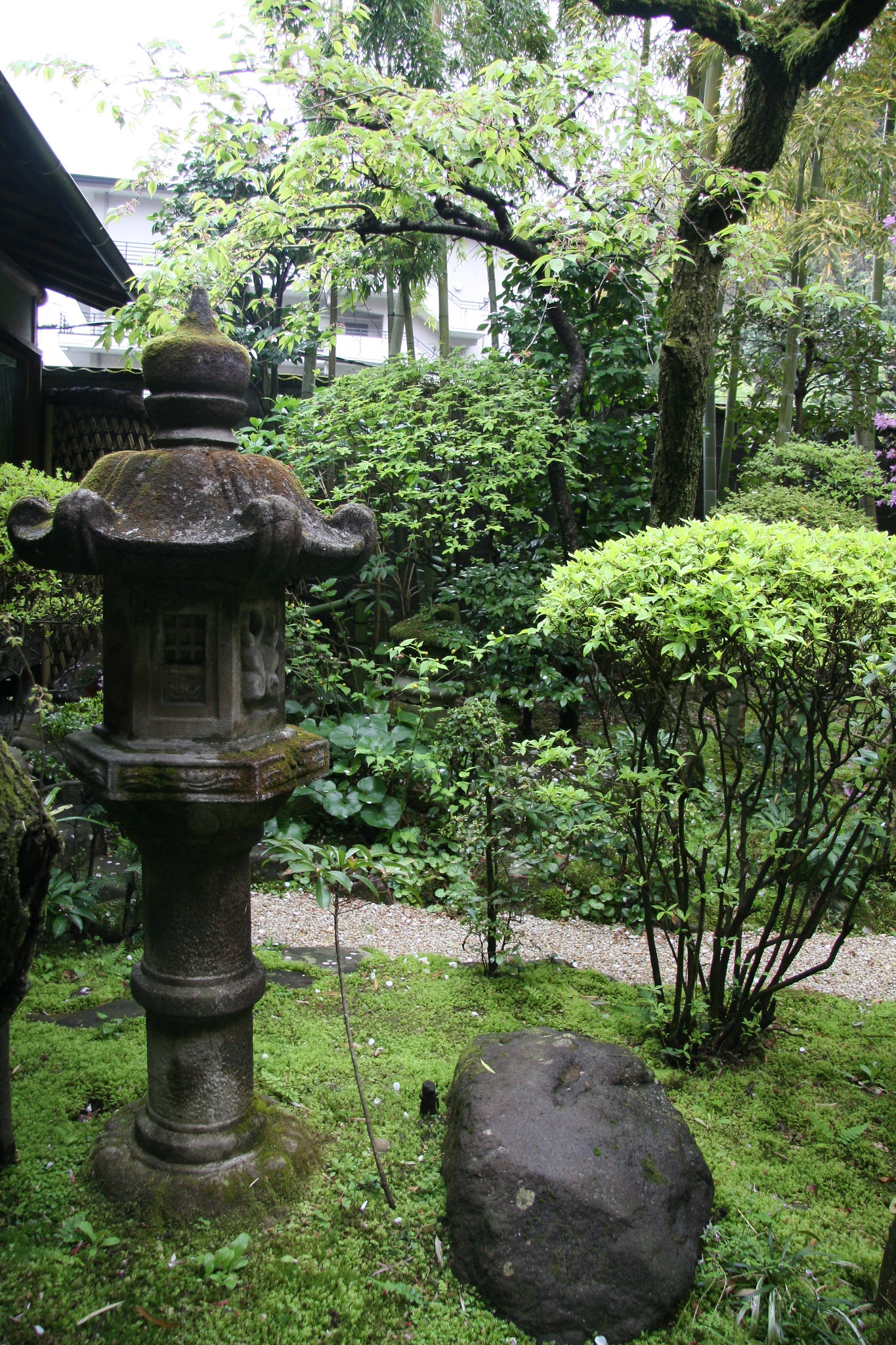 Japanese rock zen garden